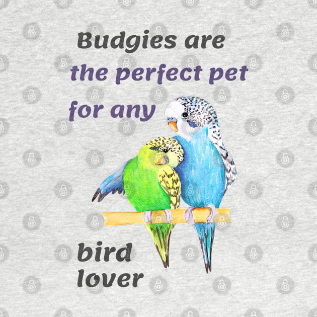 Budgies Are The Perfect Pet Parrotlets Budgerigars by Sparkles Delight